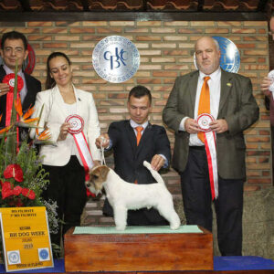 67491814-2703286329690217-5232231874130083840-o_1