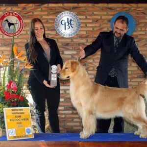 67849340-10222123281220002-7205908971733909504-n