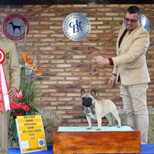 68268096-10221002824483544-7016706097452941312-o