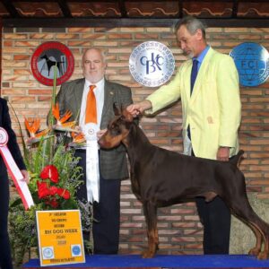 68320744-10222266932611197-7487213141890170880-n