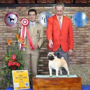 68380443-2840983702594780-2772928270386069504-n