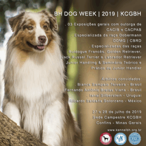 banner-kcgbh-bh-dog-week-2019_2