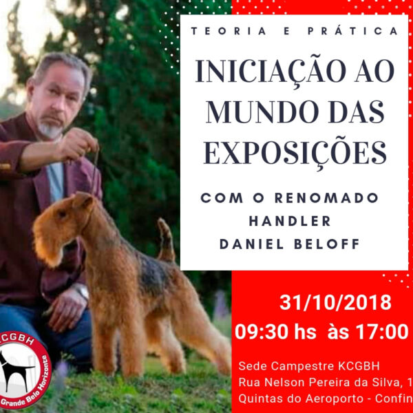 img-20181018-wa0005_orig